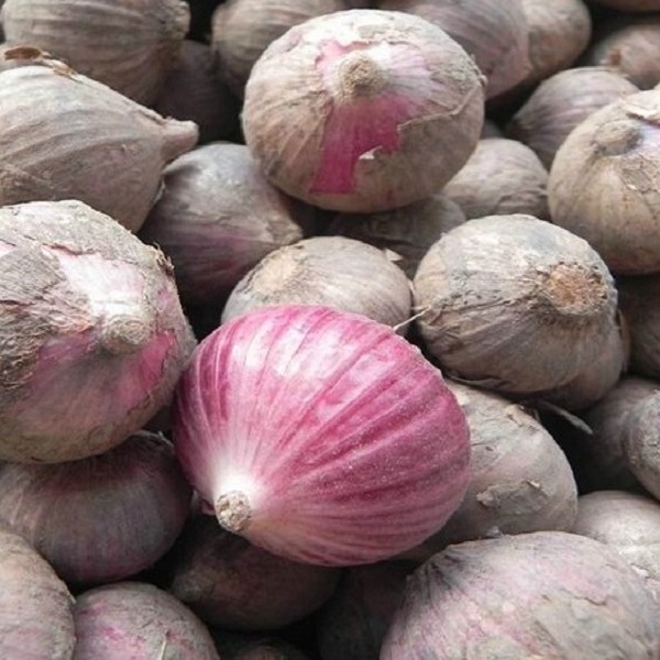 河源火蒜详细介绍:特点 历史 - 河源特产 - 特色谷