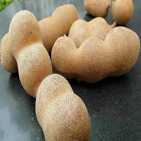 元江酸角详细介绍:特点 - 云南玉溪元江特产 - 特色谷