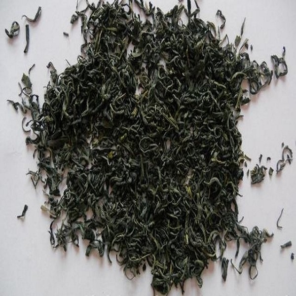 乳山绿茶