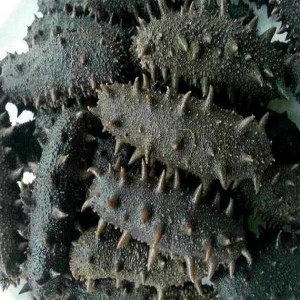 海参品牌榜