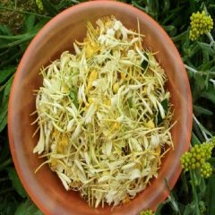 马山金银花
