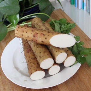 小白嘴白山药品牌榜
