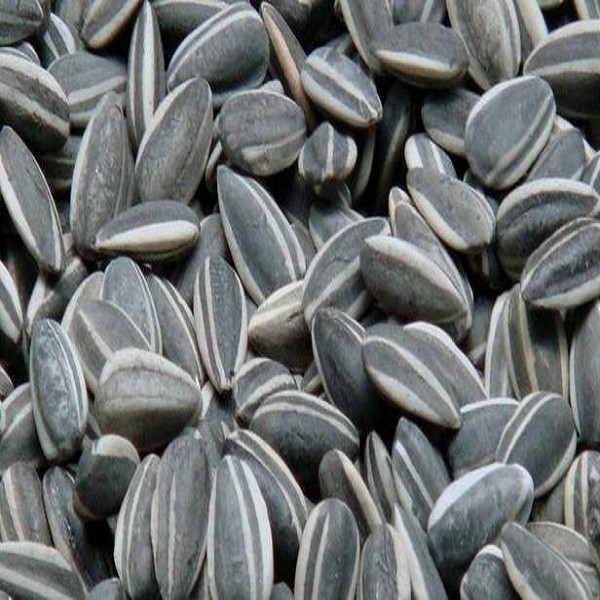 怀安三道眉葵花籽