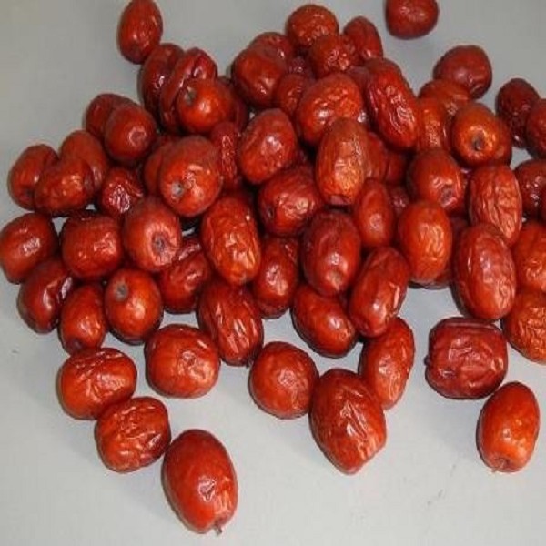 庆云金丝小枣详细介绍:特点 历史 山东德州庆云特产 特色谷