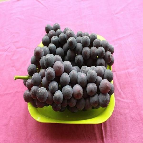 户县葡萄