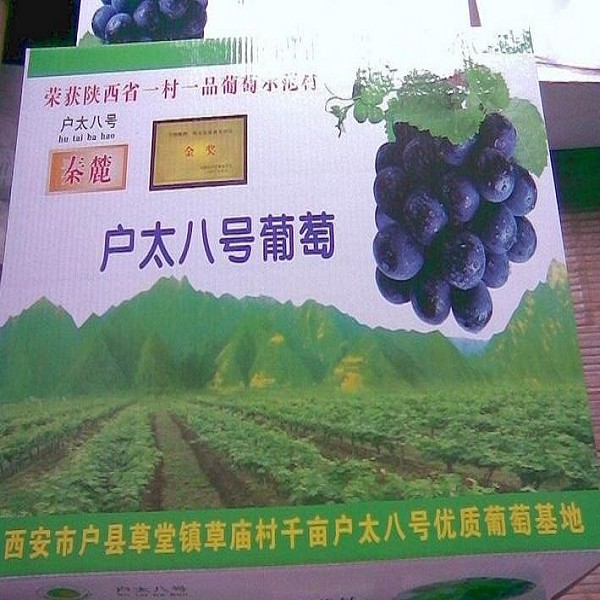 户县葡萄