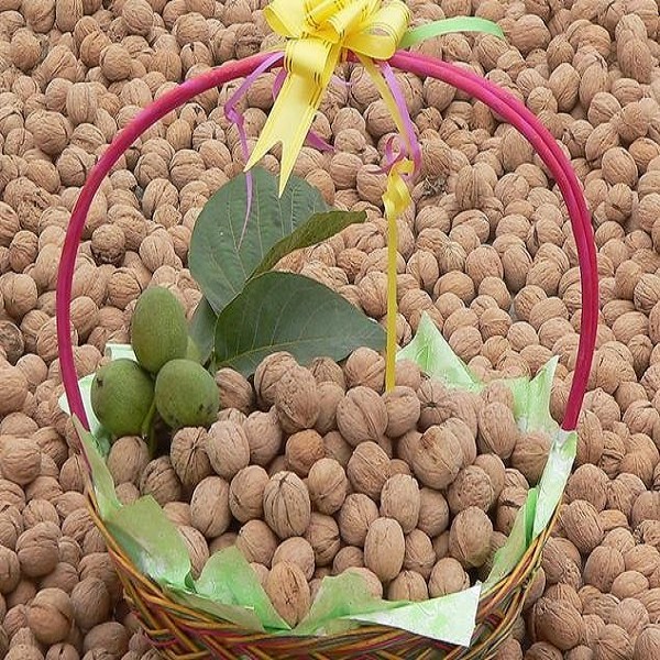 郧西核桃详细介绍:历史 - 湖北十堰郧西特产 - 特色谷