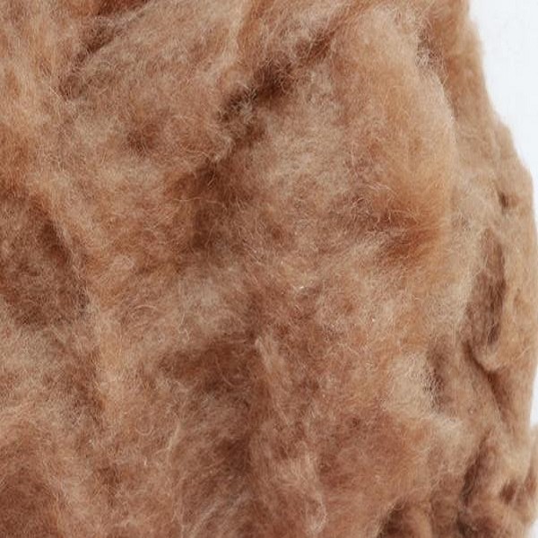 阿拉善驼绒图片