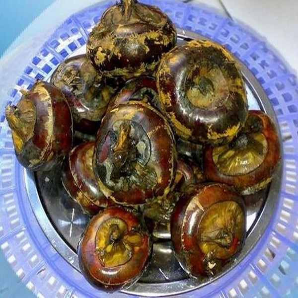 双莲荸荠详细介绍:特点 历史 - 当阳特产 - 特色谷