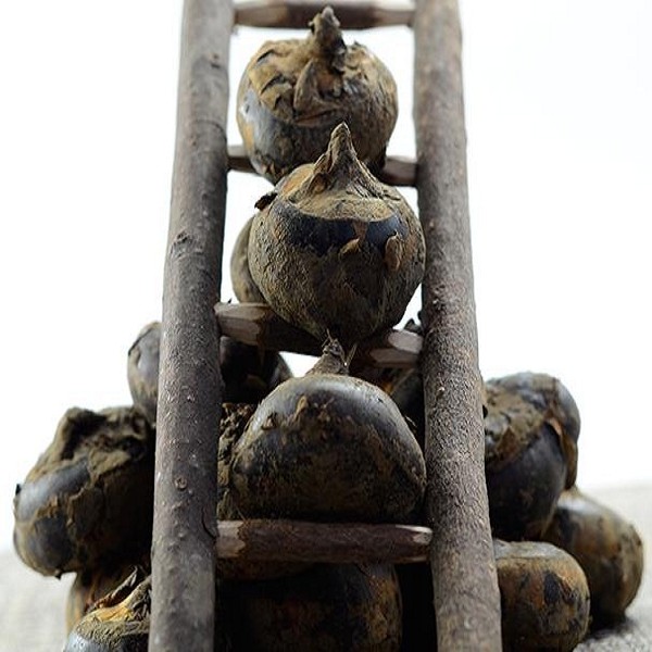 双莲荸荠详细介绍:特点 历史 - 当阳特产 - 特色谷