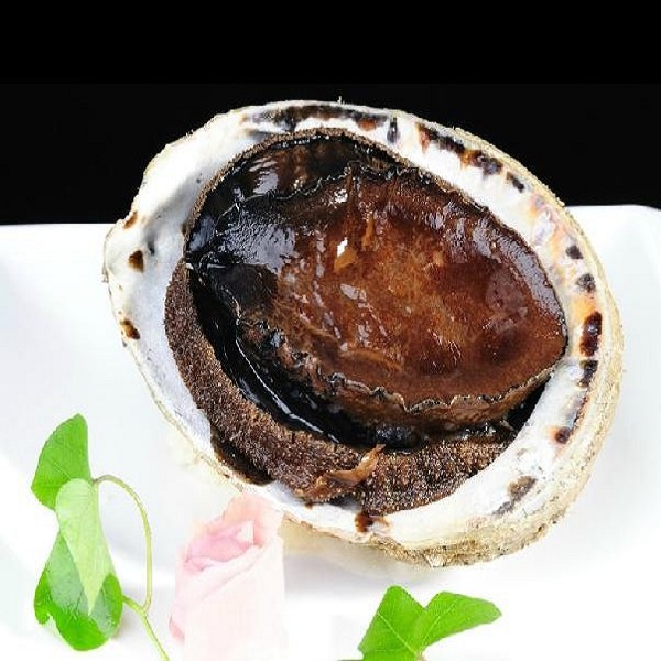 澳洲鲍鱼