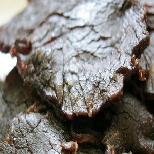 牛肉焙片品牌榜