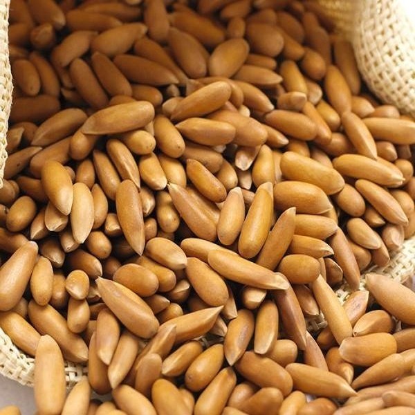 梅河口松子详细介绍:历史 - 吉林通化梅河口特产 - 特色谷