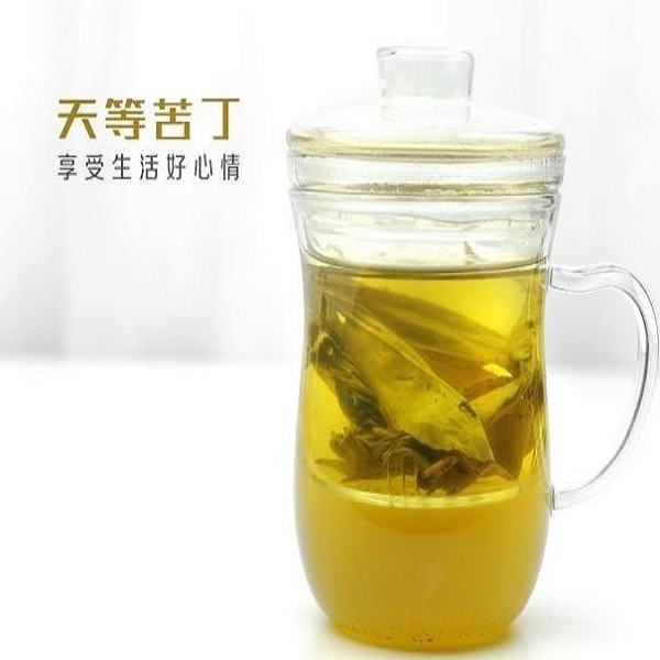 天等苦丁茶