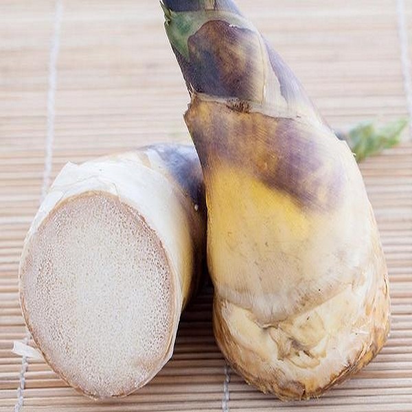 富阳冬笋