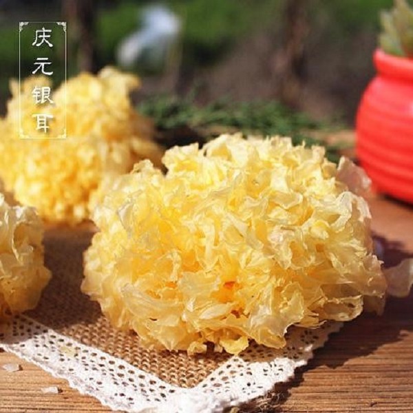 白木耳
