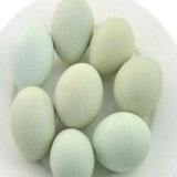印江绿壳鸡蛋