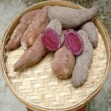 大容山紫薯