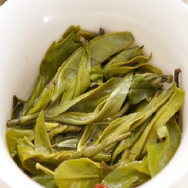 台江苦丁茶