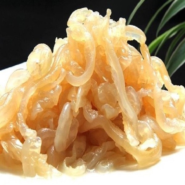 盖州海蜇