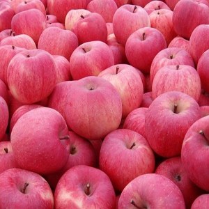 静宁苹果品牌榜