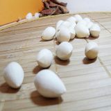 双牌银杏