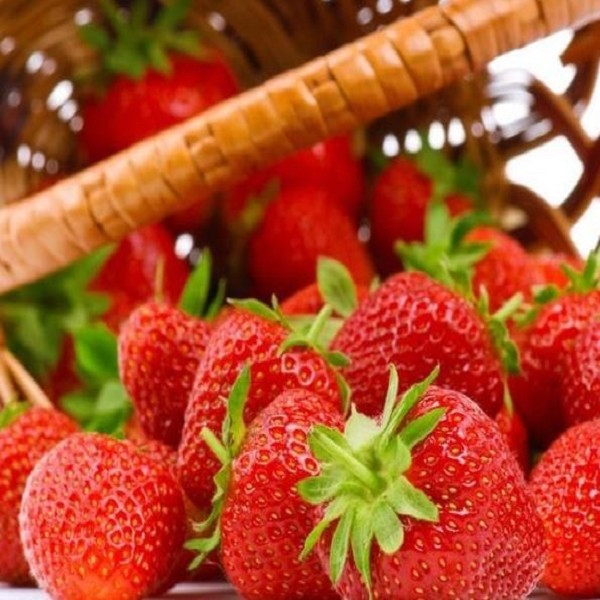 长安草莓