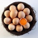 决山鸡蛋