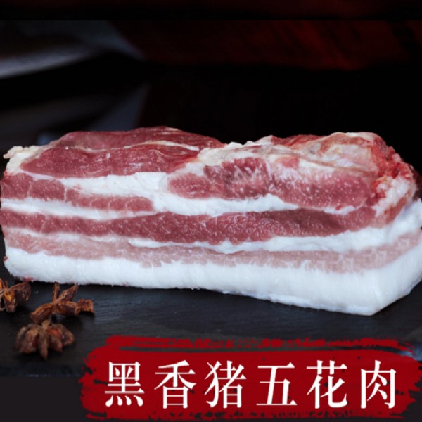 枞阳黑猪