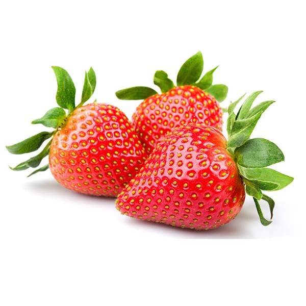 祝沟草莓