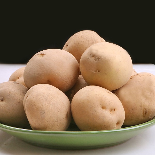 胶河土豆