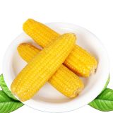 齐河玉米
