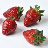 砖埠草莓