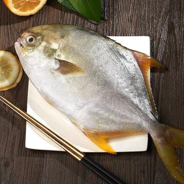 防城港金鲳鱼