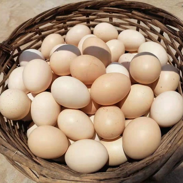 闾山鸡蛋