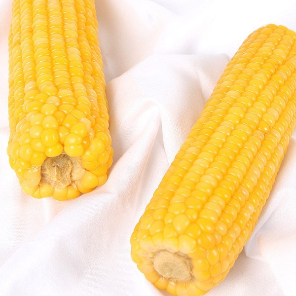 绥化鲜食玉米
