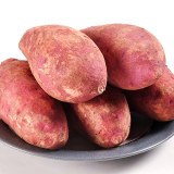 唐河红薯